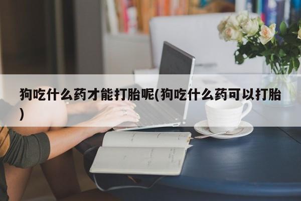 网上卖流产药联系方式，狗吃什么药才能打胎呢(狗吃什么药可以打胎)