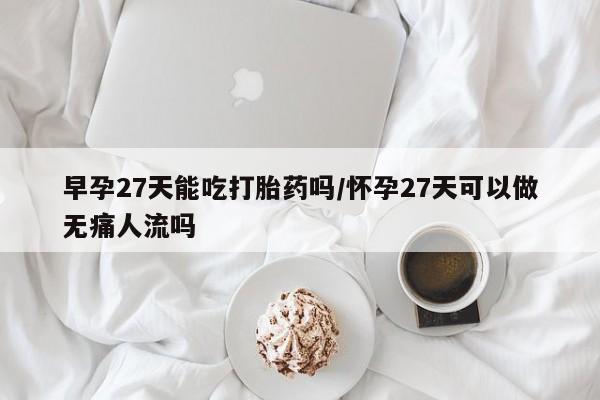 网上卖流产药联系方式，早孕27天能吃打胎药吗/怀孕27天可以做无痛人流吗