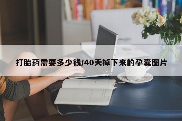 网上卖流产药联系方式，打胎药需要多少钱/40天掉下来的孕囊图片